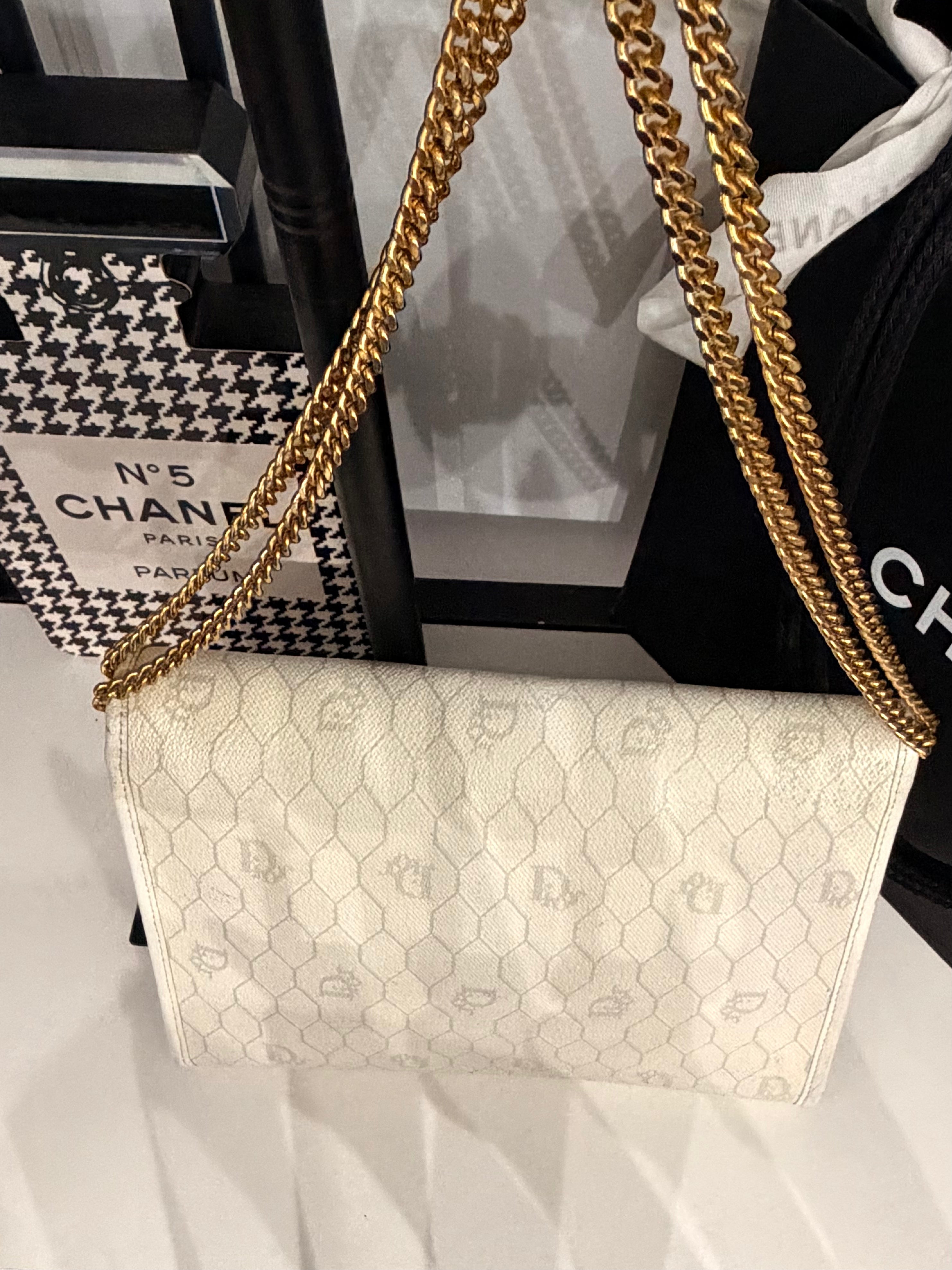 Dior PVC Chain Shoulder Bag